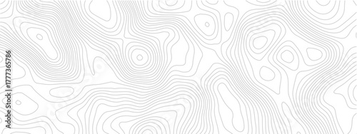 Abstract topographic map background contour lines on white great for presentations and geographic themes