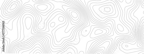 Topographic map contour lines abstract vector background perfect for cartography and geography related designs