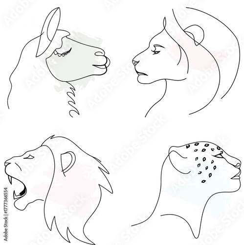 Minimalist Line Art Animal Portraits with Watercolor Splashes Keywords: llama, lioness, continuous line art bundle