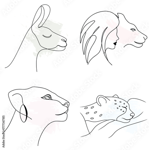 Minimalist Line Art Llama Woman Lion Cheetah Watercolor Splashes animal wildlife continuous line art bundle