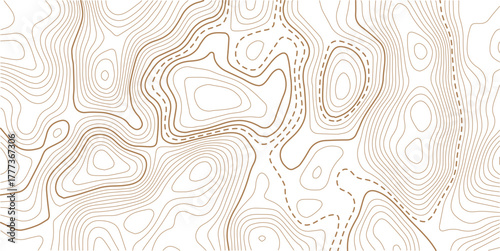 Topographic map background geographic line map with elevation assignments.Mountain topographic terrain map background with gold lines texture. Design illustration for wall art, fabric, packaging, web.