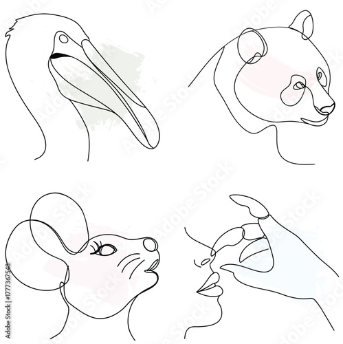 Minimalist Line Art Pelican Panda Mouse Hand Watercolor Splashes bird bear continuous line art bundle