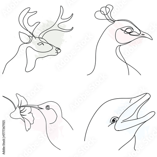 Minimalist Line Art Animal Portraits with Watercolor Splashes Keywords: deer, peacock, continuous line art bundle