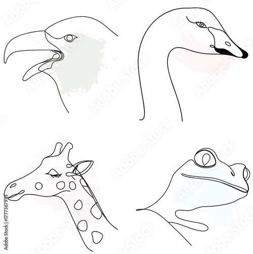 Minimalist Line Art Animal Portraits with Watercolor Splashes Keywords: eagle, swan, continuous line art bundle