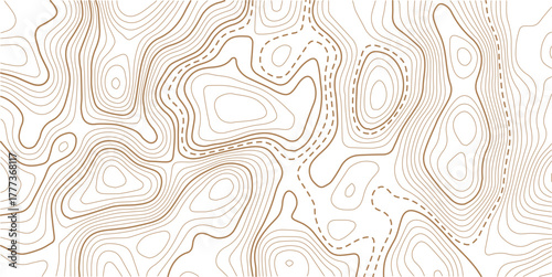 Topographic gold luxury map background. Geographic abstract pattern. The topo contour or wallpaper.Design illustration for wall art, fabric, packaging, web, banner, wallpaper.
