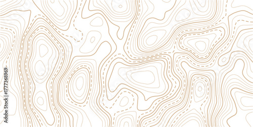 .Topographic line contour map background, geographic grid map, stock vector illustration. Geographic mountain relief diagram line wave carve pattern.