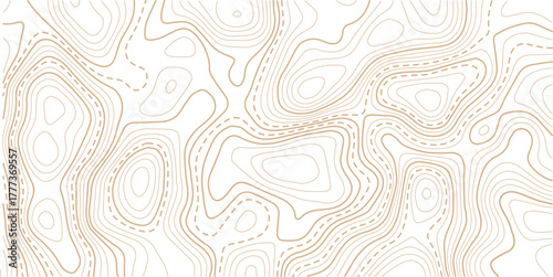 Abstract topo contour map on white background, Topographic map Topographic contour lines map seamless pattern.The concept of a conditional geography scheme and contour line map image.