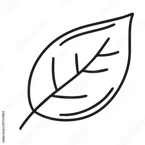 vector illustration of a leaves