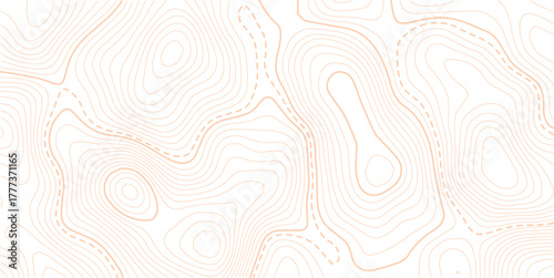 Abstract topo contour map on white background, Topographic map Topographic contour lines map seamless pattern.The concept of a conditional geography scheme and contour line map image.