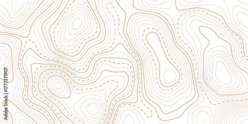  The topo contour or wallpaper. Mountain trail terrain or path. Vector illustration.Modern design with White background with topographic wavy pattern design.