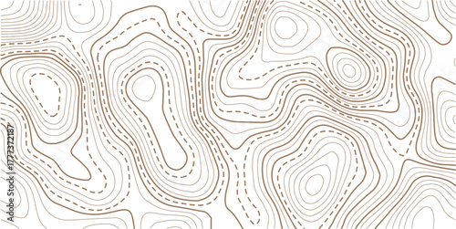 Abstract topo contour map on white background, Topographic map Topographic contour lines map seamless pattern.The concept of a conditional geography scheme and contour line map image.