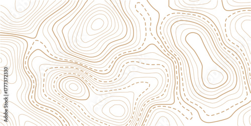 Topographic map contour background. Topo with elevation. The concept of a conditional geography scheme and contour line map image. Geographic mountain relief diagram line wave carve pattern
