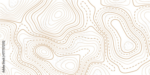 Topographic gold luxury map background. Geographic abstract pattern. The topo contour or wallpaper.Design illustration for wall art, fabric, packaging, web, banner, wallpaper.
