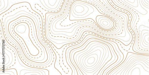 .Topographic line contour map background, geographic grid map, stock vector illustration. Geographic mountain relief diagram line wave carve pattern.