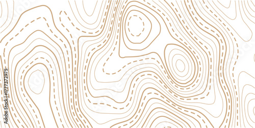 Topographic gold luxury map background. Geographic abstract pattern. . Design illustration for wall art, fabric, packaging, web, banner, wallpaper.
