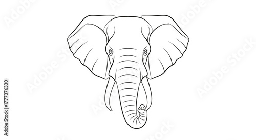 Detailed vector line art of an African elephant head profile for children books