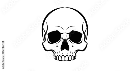 Monochrome anatomical skull drawing with stark black lines and empty eye sockets illustration