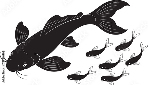 Giant ornamental carp silhouette with small fish group profile illustration vector drawing
