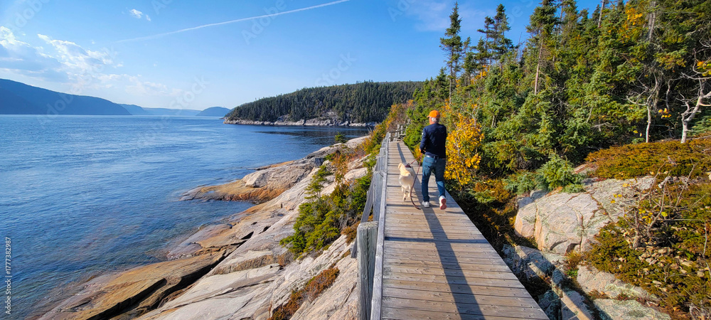 Obraz premium Tadoussac, Quebec, Canada: Pointe-de-l'Islet Trail at the mouth of the Saguenay Fjord