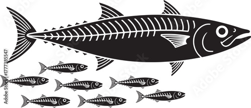 Tuna Mackerel Skeleton Diagram Silhouette With School Of Small Marine Fish Vector Drawing