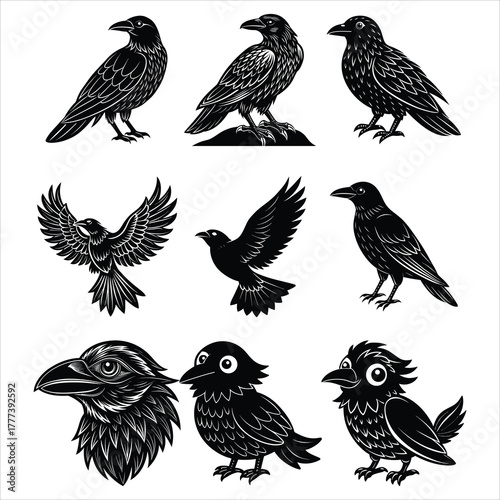 Crow and Raven Bird Silhouette Collection in Minimal Style