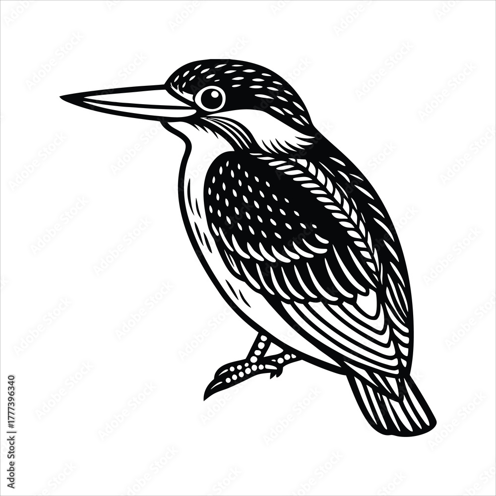 Fototapeta premium Elegant kingfisher line drawing with gold accents
