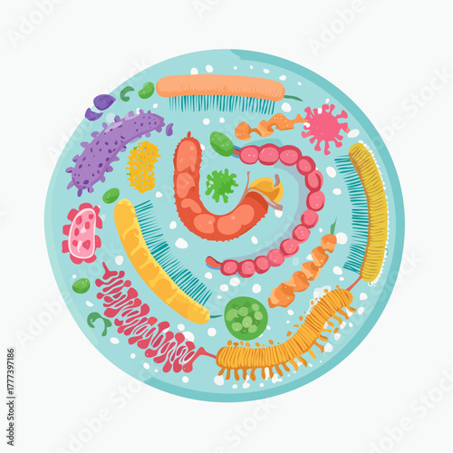 Vector Illustration of Colorful and Diverse Intestinal Bacteria in Human Gut. Concept of Gut Flora and Microbiome.