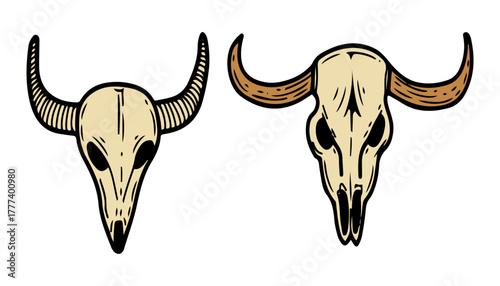 Set of buffalo skulls. Hand drawn flat vector. Bull head. Dead cow skeleton. Animal. Cattle. Fauna illustration.