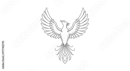 Elegant phoenix illustration in minimalist line art style against a white background