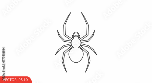 Elegant minimalist spider line art illustration for arachnid themed design projects