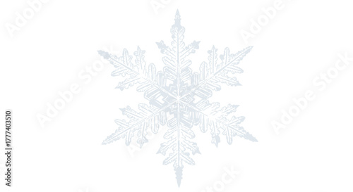 Detailed illustration of a delicate snowflake on a pristine white background reflecting winter's