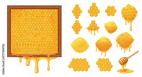 Various golden honeycomb designs with dripping honey, a framed honeycomb, and a honey dipper, showcasing sweet natural bee products.