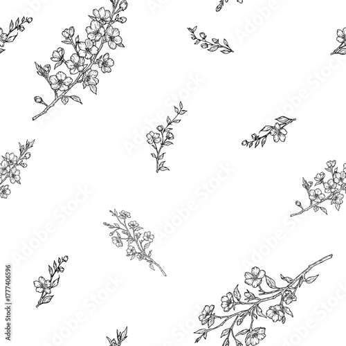 Blooming tree branches, seamless pattern. Vector illustration. Spring flowers on a branch isolated on a white background. Summer floral theme suitable for cards, invitations and textile print.