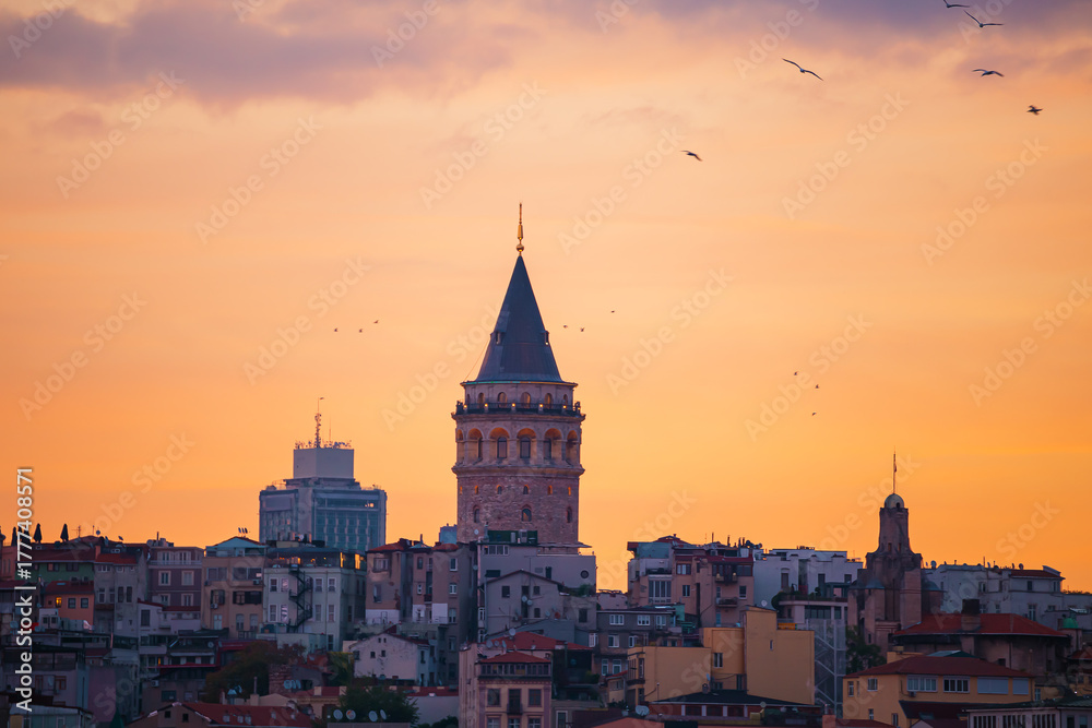Fototapeta premium The Galata Tower and seagulls at dawn. Magnificent cityscape of Istanbul in the morning.