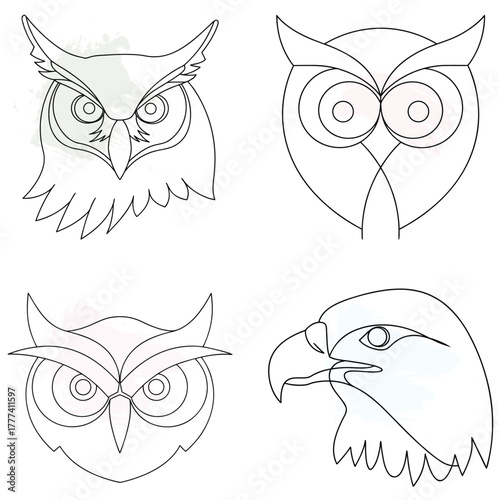 Minimalist Line Art Owl Heads Eagle Head with Watercolor Splashes animal wildlife continuous line art bundle