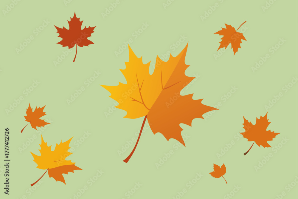 Fototapeta premium Falling Maple Leaves