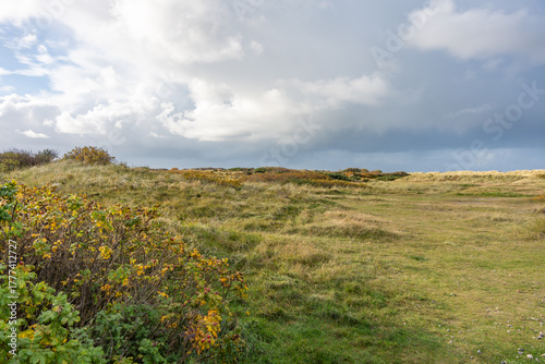 Grassy coastal landscape. Wide natural landscape with grass, bushes, and cloudy sky. A peaceful coastal area in autumn light.