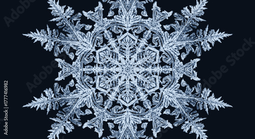 Magnified detailed crystalline snowflake with intricate ice patterns on a dark backdrop
