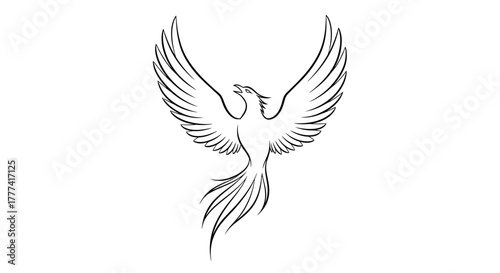Elegant rising phoenix illustration with detailed wings and tail feather design