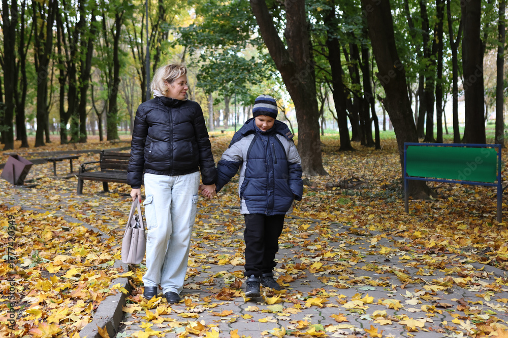 Fototapeta premium A woman and her son are walking through an autumn park, collecting yellow leaves.