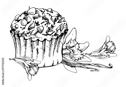 Vector ink cupcake with chocolate frosting, muffin in paper liner topped with cocoa nibs, vanilla blossoms, seed pods. Isolated hand drawn element. Sweet menu, packaging, blog illustration graphics.