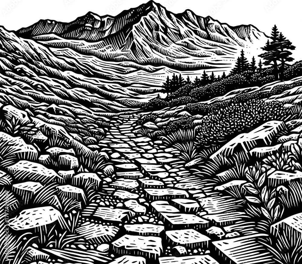 Fototapeta premium Stone Path Ascending Rocky Mountain Landscape with Pine Trees and Cloudy Sky