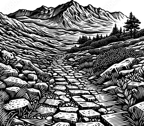 Stone Path Ascending Rocky Mountain Landscape with Pine Trees and Cloudy Sky