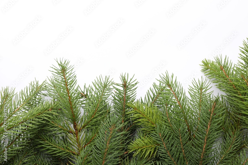 Naklejka premium Christmas tree branches on white background, flat lay. Space for text