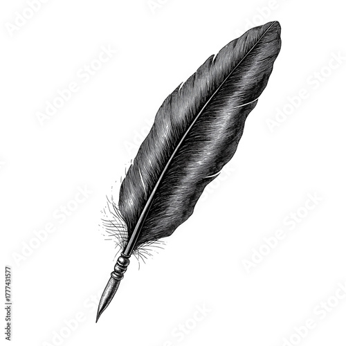 Classic Quill Writing Feather Detailed Line Art, Generative AI