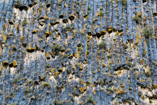 texture di basalto - parete di roccia con ciuffi di vegetazione e colori autunnali