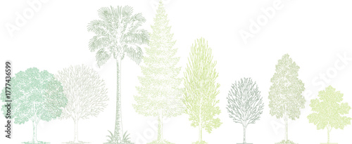 Collection of diverse green line art trees and palm tree with detailed foliage and trunks on white background. Architectural Drawings
