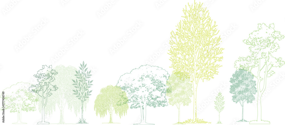 Obraz premium Collection of stylized green trees and foliage in various sizes and shapes with detailed outlines and textured fills on a white background. Architectural Drawings