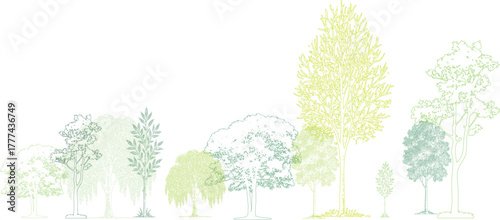 Collection of stylized green trees and foliage in various sizes and shapes with detailed outlines and textured fills on a white background. Architectural Drawings