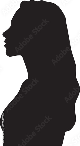 Mid-aged Silhouette of a Long Haired Woman 